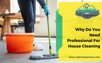 Why Do You Need Professional For House Cleaning
