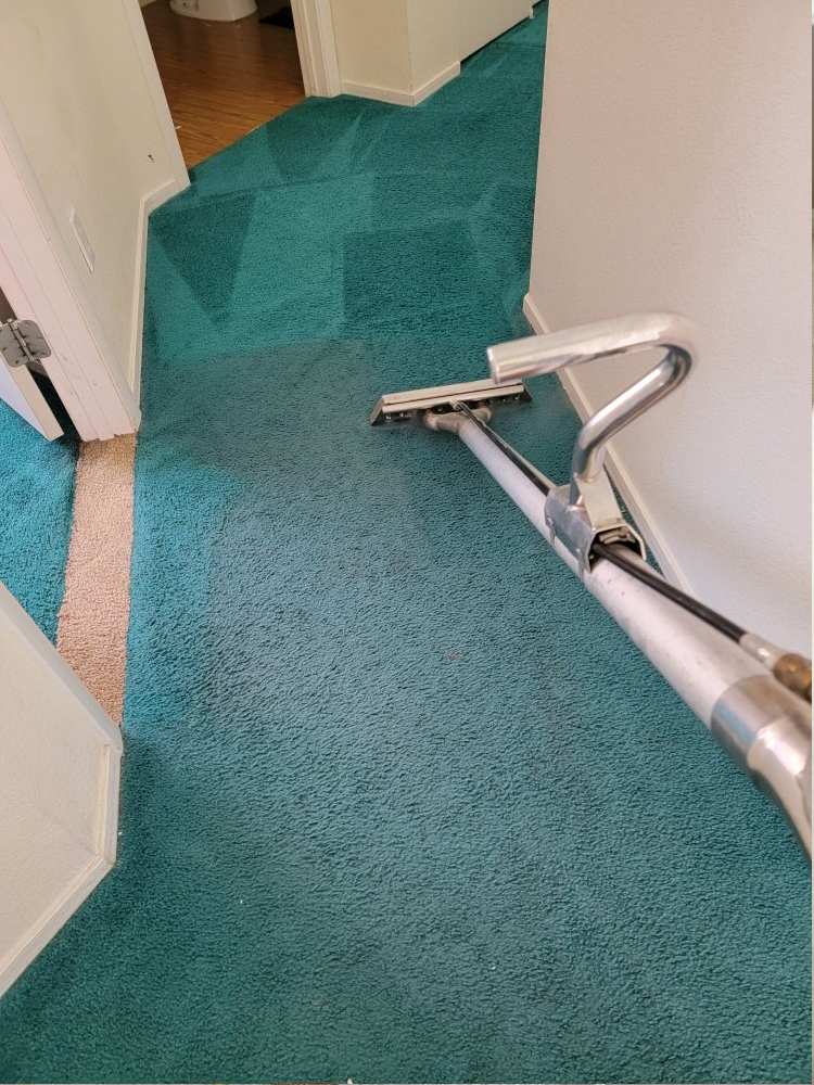 Before After Carpet Cleaning 