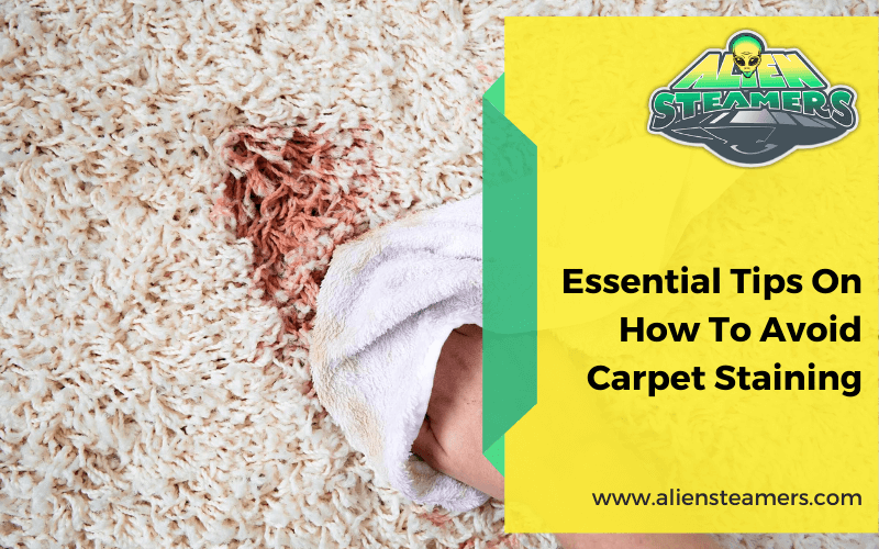 Essential Tips On How To Avoid Carpet Staining