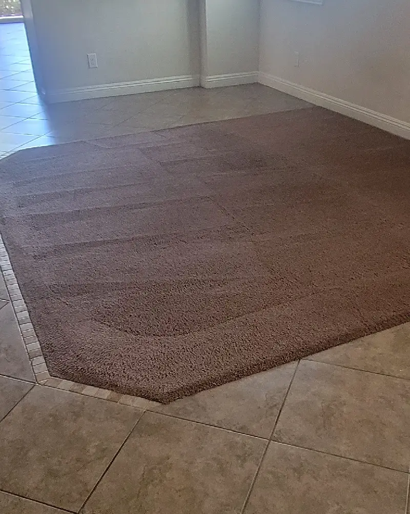Rug Cleaning After